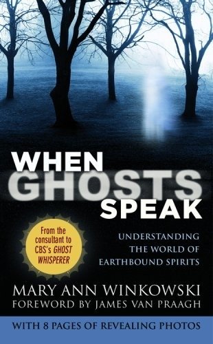When Ghosts Speak: Understanding the World of Earthbound Spirits фото книги