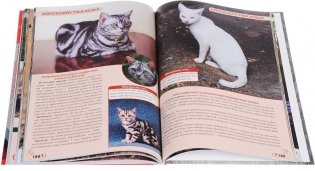 Энциклопедия о кошках и собаках фото книги 5