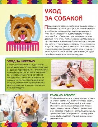 Моя первая книга о собаках и щенках. Детская энциклопедия фото книги 2