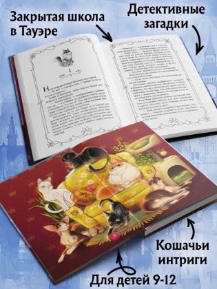 Школа Фелидиксов (#1) фото книги 3