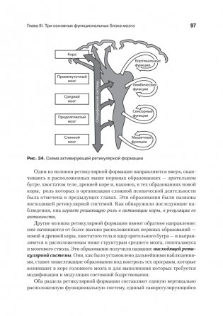 Основы нейропсихологии фото книги 9