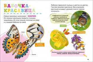 Насекомые. Первая энциклопедия малыша фото книги 3