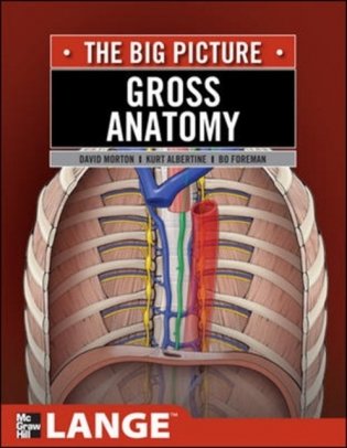 Gross Anatomy: The Big Picture фото книги