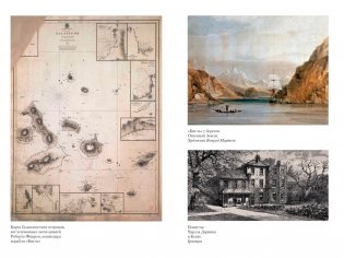 Происхождение видов путем естественного отбора фото книги 4