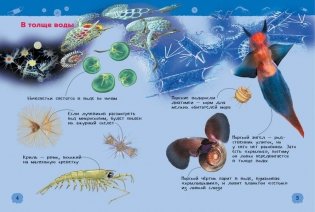Подводный мир. Энциклопедия для детского сада фото книги 2