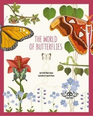 World of Butterflies фото книги