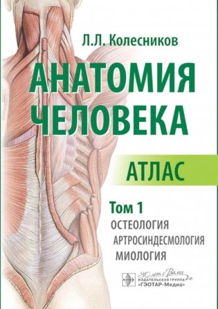 Анатомия человека. Атлас. В 3 томах. Том 1. Остеология, артросиндесмология, миология фото книги