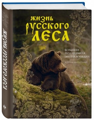 Жизнь русского леса фото книги 2