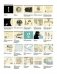 История мира в инфографике фото книги маленькое 5