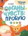 Органы чувств: пробую фото книги маленькое 2