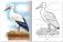 Раскраска "Первые уроки. Перелетные птицы", А5, 8 листов фото книги маленькое 3