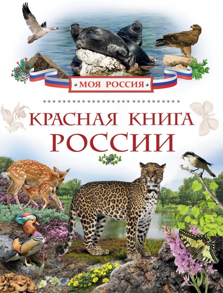 Красная Книга Фото