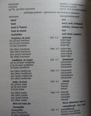 Французско-русский, русско-французский словарь с использованием грамматики фото книги 5