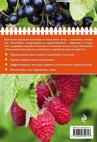Полезные ягоды. Секреты сверхурожая фото книги 6