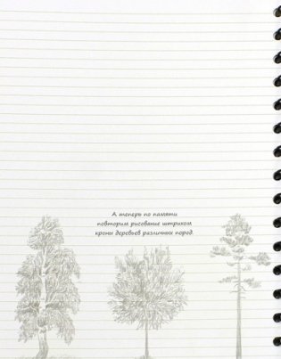Sketchbook. Рисуем пейзаж. Экспресс-курс рисования (оранжевая) фото книги 2