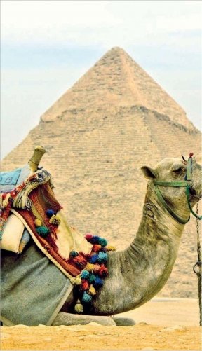 ЕГИПЕТ: Каир, Луксор, Хургада, Шарм-эль-Шейх, Александрия фото книги 7