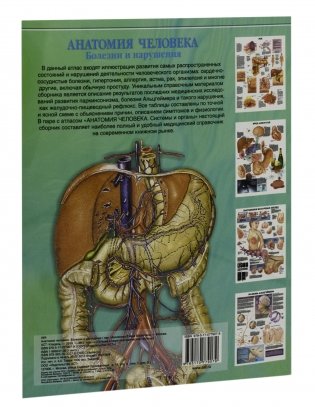 Анатомия человека: болезни и нарушения фото книги 8