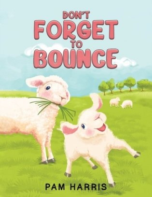 Don`t Forget to Bounce фото книги