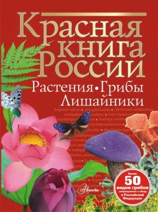 Красная книга России. Растения Грибы Лишайники фото книги