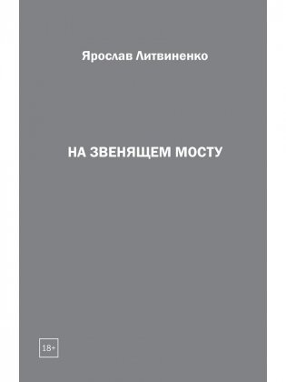 На звенящем мосту фото книги