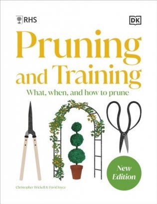 RHS Pruning and Training фото книги