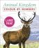Large print animal kingdom colour by numbers фото книги маленькое 2