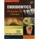 Endodontics: Principles and Practice (Complimentary e-book with digital resources) фото книги маленькое 2