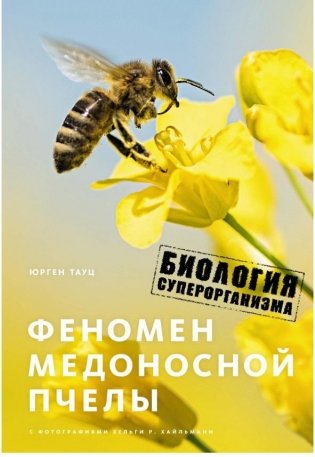 Феномен медоносной пчелы. Биология суперорганизма фото книги
