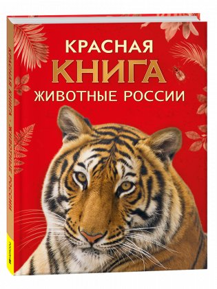 Красная книга. Животные России фото книги