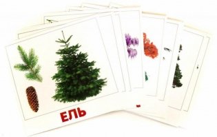 Комплект карточек "Деревья" фото книги