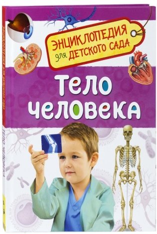 Тело человека. Энциклопедия для детского сада фото книги