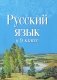 Русский язык в 9 классе. Учебно-методическое пособие для учителей. ГРИФ фото книги маленькое 2