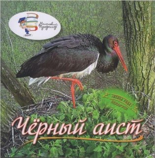 Маленький профессор. Черный аист. Птица года Беларуси фото книги