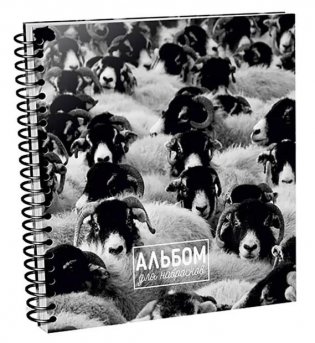 Альбом для набросков “Овцы”. 80 листов фото книги