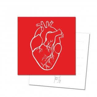 Открытка "Анатомическое сердце" фото книги