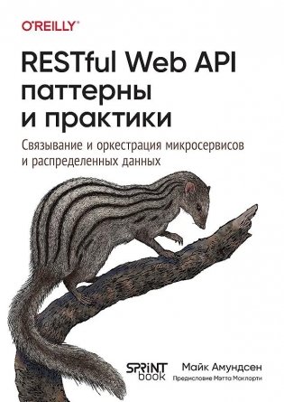 RESTful Web API паттерны и практики фото книги