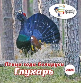Птица года Беларуси. Глухарь фото книги