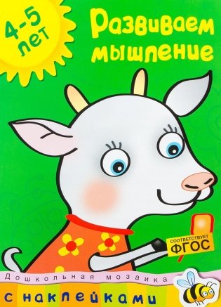 Развиваем мышление (4-5 лет) фото книги