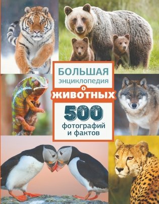Большая энциклопедия о животных. 500 фотографий и фактов фото книги