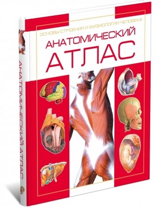 Анатомический атлас. Основы строения и физиологии человека фото книги