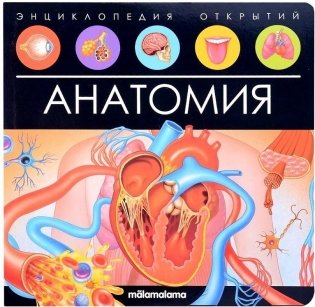 Анатомия. Энциклопедия открытий фото книги