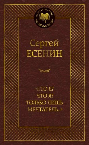 «Кто я Что я Только лишь мечтатель...» фото книги