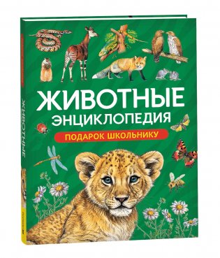 Животные. Энциклопедия. Подарок школьнику фото книги