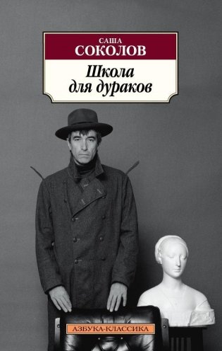 Школа для дураков фото книги