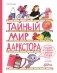 Тайный мир даркстора. Раскройте его секреты с роботом Турби фото книги маленькое 2