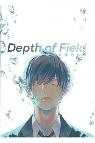 Depth of Field Vol. 1 фото книги