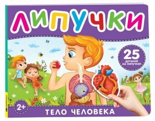 Тело человека. Книга с липучками фото книги