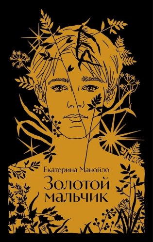 Золотой мальчик фото книги