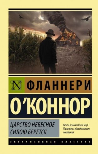 Царство Небесное силою берется фото книги