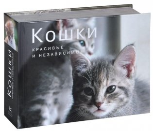 Кошки. Красивые и независимые фото книги